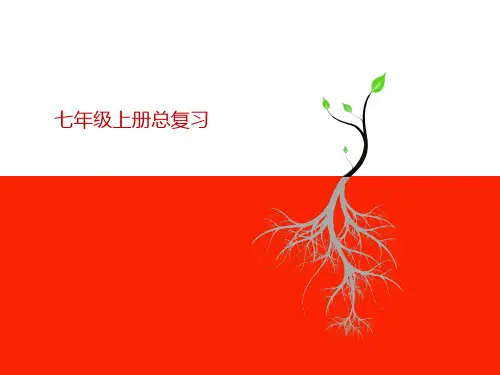 仁爱版七年级上册复习总课件