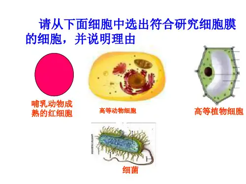 体验制备细胞膜的方TY法