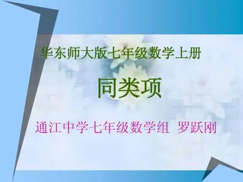 同类项