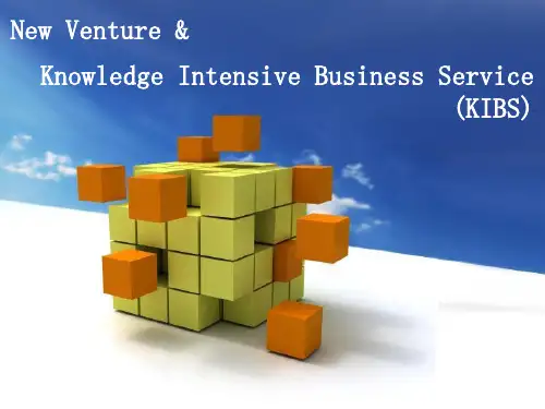 知识密集型服务业与创新Knowledge Intensive Business Service