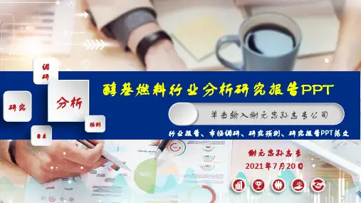 醇基燃料行业调研分析报告