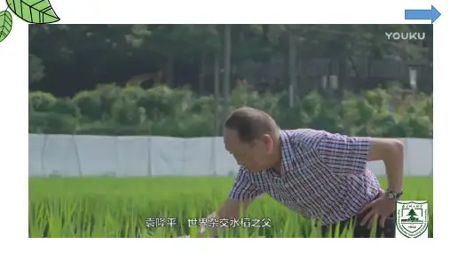 植物生长需要水和无机盐