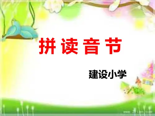 拼读音节