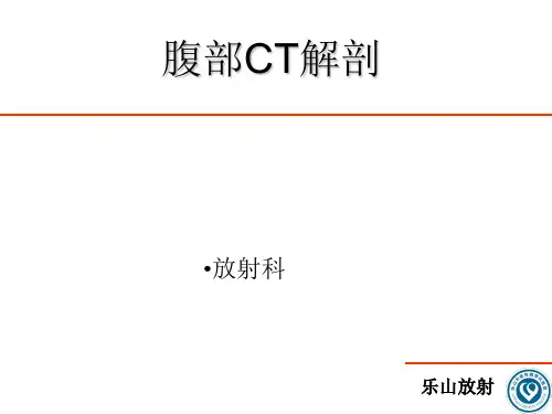 腹部CT诊断(很经典)