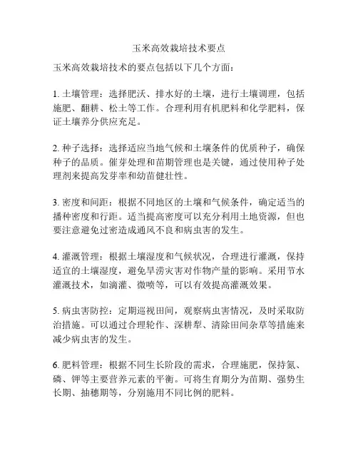 玉米高效栽培技术要点