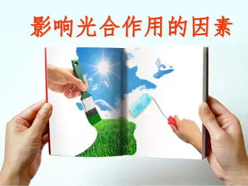光合作用影响因素ppt课件