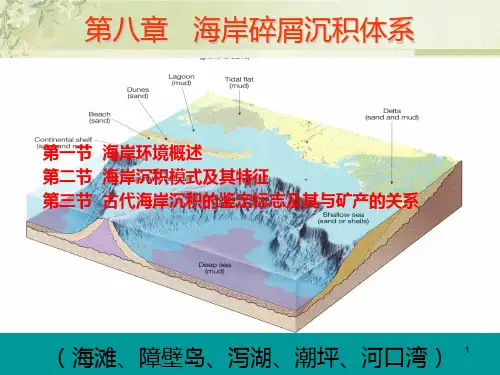 海岸沉积体系