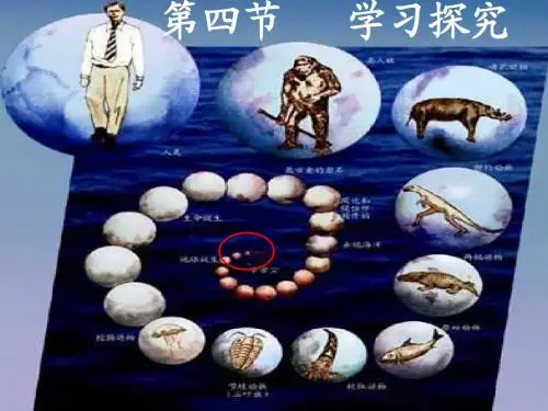第四节 学习探究