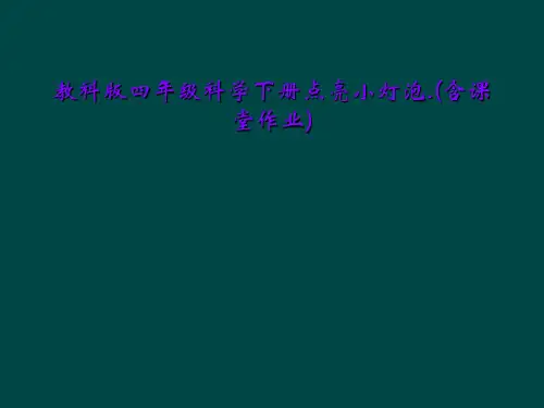 教科版四年级科学下册点亮小灯泡.(含课堂作业)