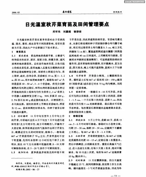 日光温室秋芹菜育苗及田间管理要点