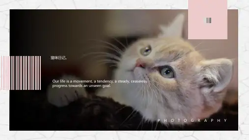简笔画可爱卡通宠物行业PPT模板呆萌猫咪狗萌宠物店动物医生课件 (22)