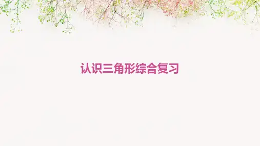 认识三角形综合复习