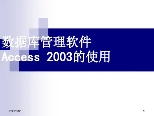 Access2003的文档教程PPT课件