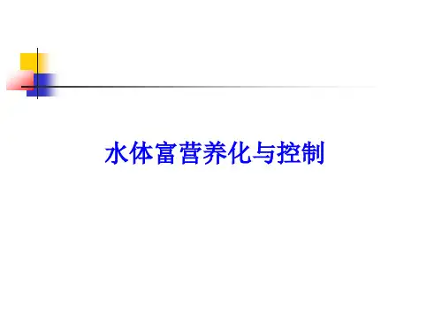 水体富营养化评价与治理
