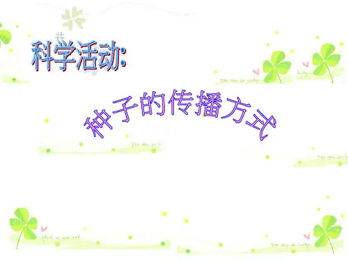 种子的传播方式