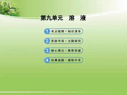 中考化学专题复习第9单元-溶液精品PPT课件