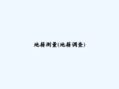 地籍测量(地籍调查) PPT