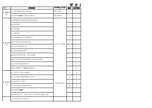 供应商监督审核报告-自评