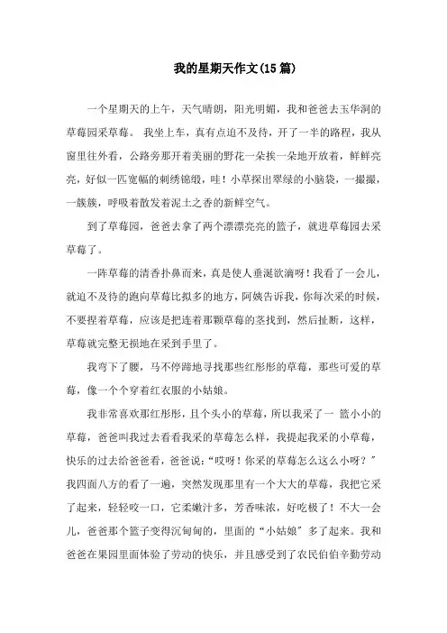 我的星期天作文(15篇)精选