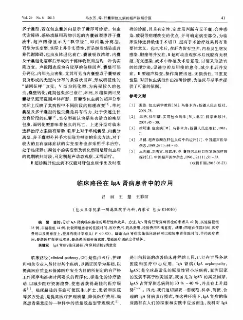 临床路径在IgA肾病患者中的应用