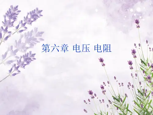 电压和电阻PPT教学课件