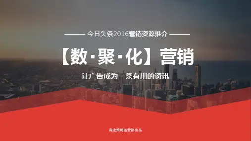 ※今日头条商业化营销方案 - 副本