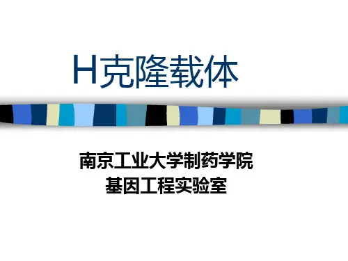 H克隆载体