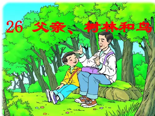 三年级语文《父亲树林和鸟》