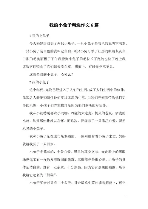 我的小兔子精选作文6篇
