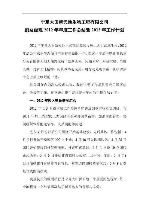 副总经理年度工作总结及计划