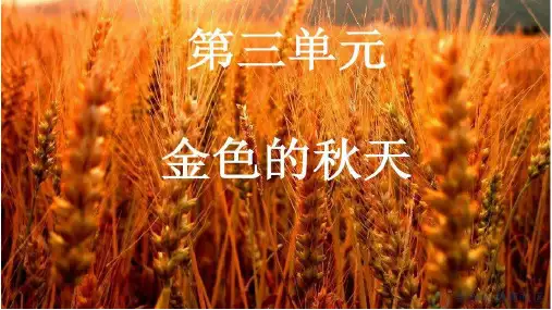 西风的话课件