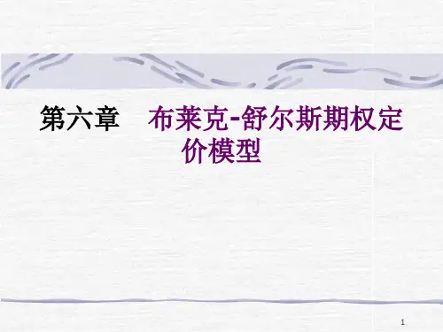 BS期权定价模型详解精讲精品PPT课件