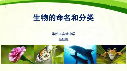 第1节生物的命名和分类