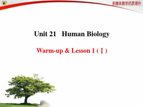 Unit 21 Warm-up & Lesson 1(Ⅰ)