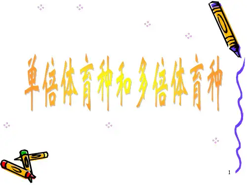 单倍体育种和多倍体育种PPT课件