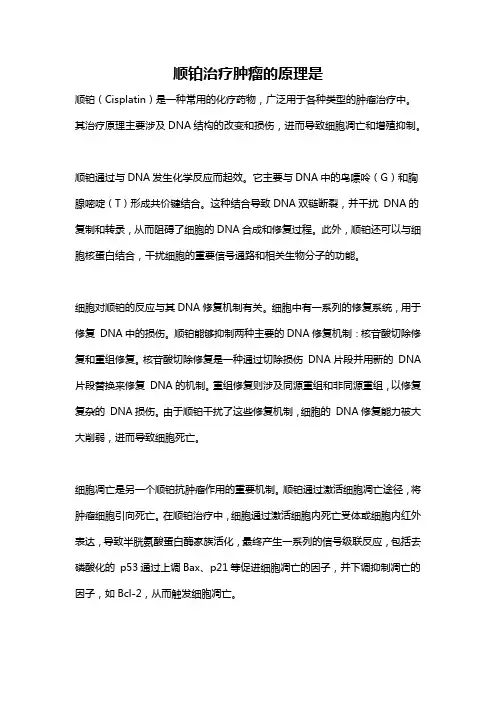 顺铂治疗肿瘤的原理是