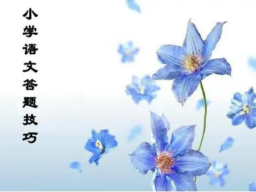 小学语文考试答题技巧