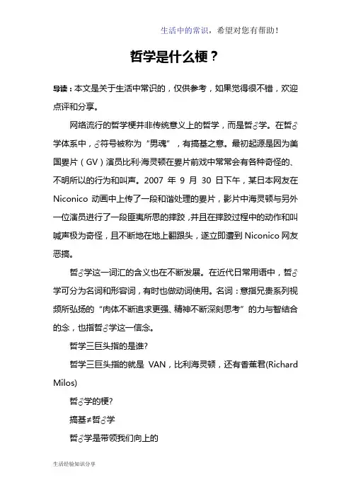 哲学是什么梗？