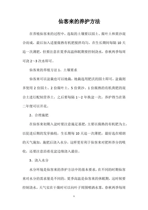 仙客来的养护方法