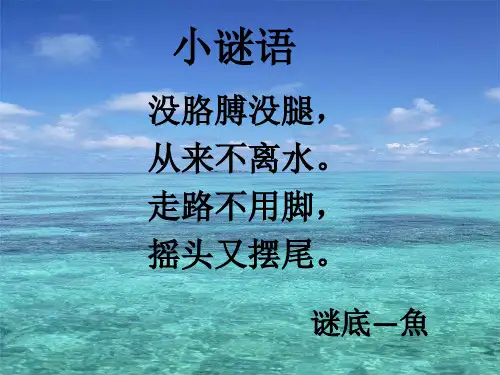 教科版小学科学一年级下册课件：2.5观察鱼优质课件(新教材)优选ppt课件