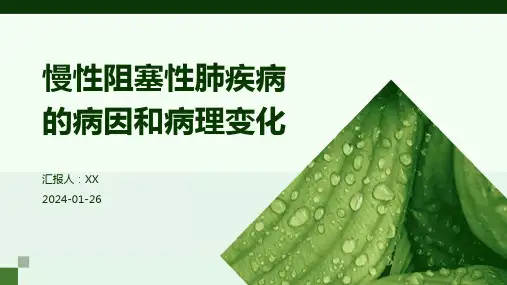慢性阻塞性肺疾病的病因和病理变化