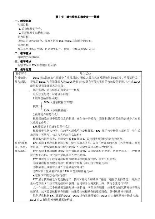 遗传信息的携带者—核酸-教案