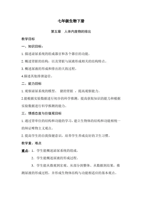 七年级生物下册第五章  人体内废物的排出教案
