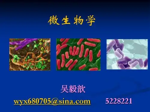 农业微生物学1 (8)