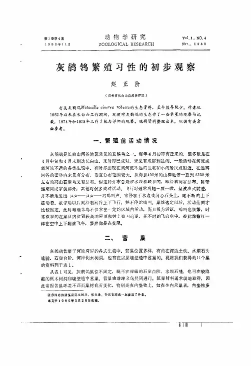 灰weiling繁殖习性的初步观察