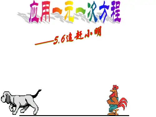 北师大版七年级上册数学5.6应用一元一次方程——追赶小明课件(共30张PPT)