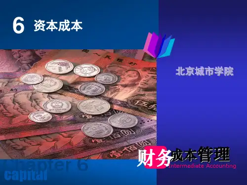第六章 资本成本