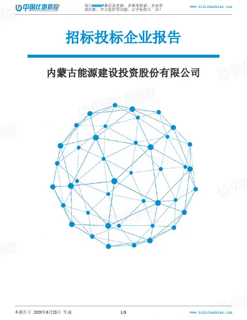 内蒙古能源建设投资股份有限公司-招投标数据分析报告