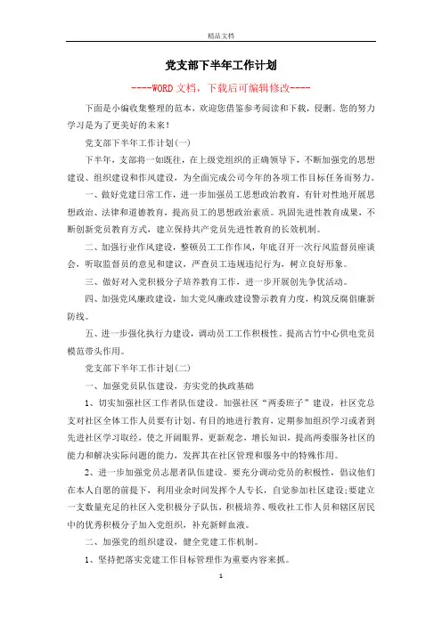 党支部下半年工作计划