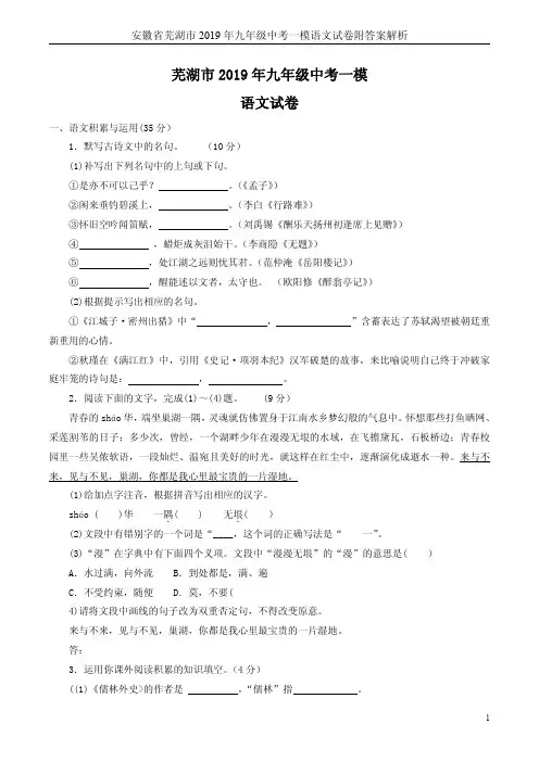 安徽省芜湖市2019年九年级中考一模语文试卷附答案解析